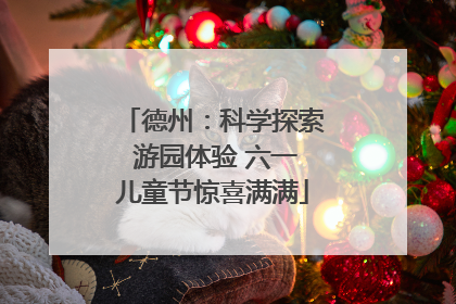 德州：科学探索 游园体验 六一儿童节惊喜满满