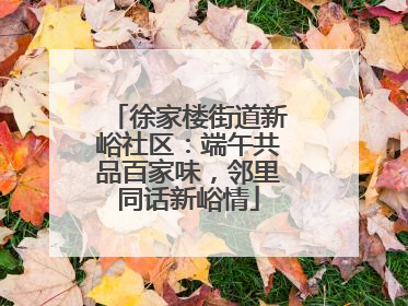 徐家楼街道新峪社区：端午共品百家味，邻里同话新峪情