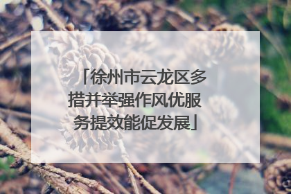 徐州市云龙区多措并举强作风优服务提效能促发展