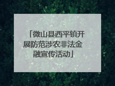 微山县西平镇开展防范涉农非法金融宣传活动