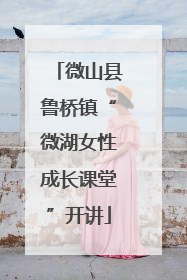 微山县鲁桥镇“微湖女性成长课堂”开讲