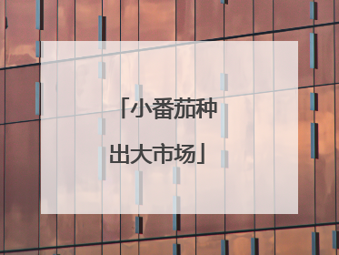 小番茄种出大市场