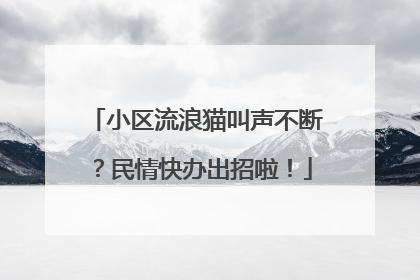 小区流浪猫叫声不断？民情快办出招啦！