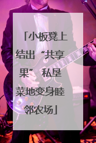 小板凳上结出“共享果” 私垦菜地变身睦邻农场