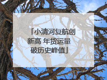 小清河复航创新高 年货运量破历史峰值