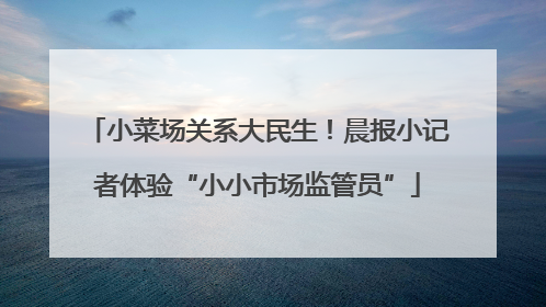 小菜场关系大民生！晨报小记者体验“小小市场监管员”
