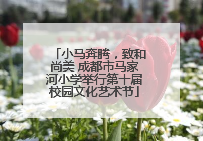 小马奔腾，致和尚美 成都市马家河小学举行第十届校园文化艺术节