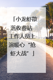 小龙虾散落收费站 工作人员上演暖心“抢虾大战”
