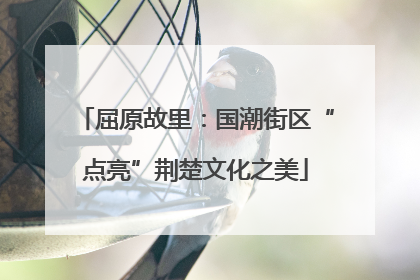 屈原故里：国潮街区“点亮”荆楚文化之美