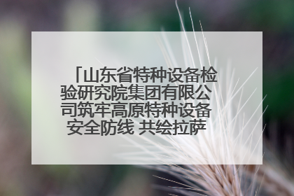 山东省特种设备检验研究院集团有限公司筑牢高原特种设备安全防线 共绘拉萨美好生活画卷