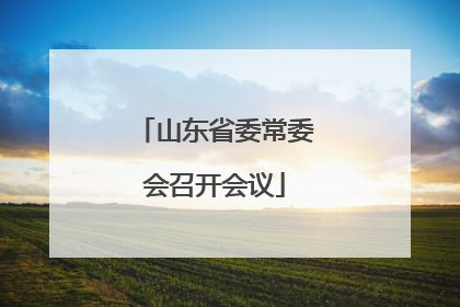 山东省委常委会召开会议