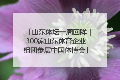 山东体坛一周回眸｜300家山东体育企业组团参展中国体博会