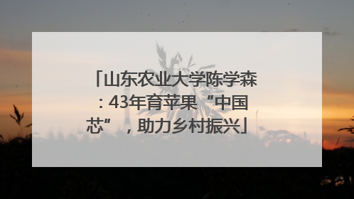 山东农业大学陈学森：43年育苹果“中国芯”，助力乡村振兴