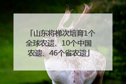 山东将梯次培育1个全球农遗、10个中国农遗、46个省农遗