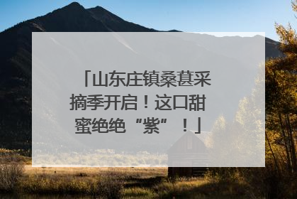 山东庄镇桑葚采摘季开启!这口甜蜜绝绝“紫”!
