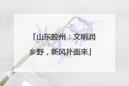 山东胶州：文明润乡野，新风扑面来