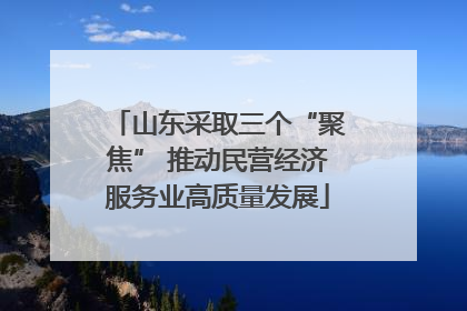 山东采取三个“聚焦” 推动民营经济服务业高质量发展