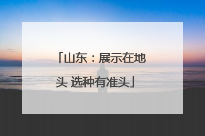 山东：展示在地头 选种有准头