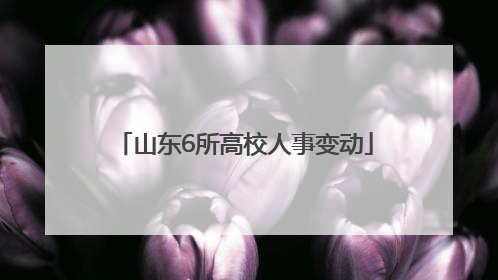 山东6所高校人事变动