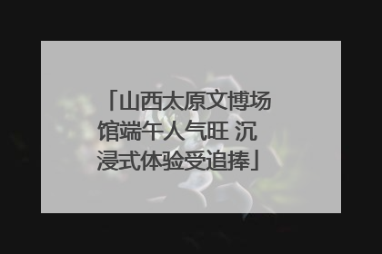 山西太原文博场馆端午人气旺 沉浸式体验受追捧