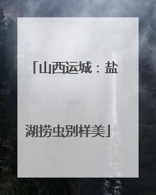 山西运城：盐湖捞虫别样美