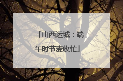 山西运城：端午时节麦收忙