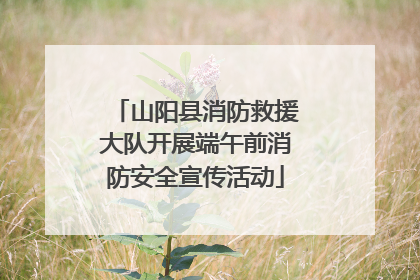 山阳县消防救援大队开展端午前消防安全宣传活动