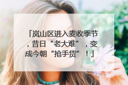 岚山区进入麦收季节，昔日“老大难”，变成今朝“抢手货”！
