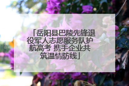 岳阳县巴陵先锋退役军人志愿服务队护航高考 携手企业共筑温情防线