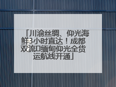 川渝丝绸、仰光海鲜3小时直达！成都双流⇌缅甸仰光全货运航线开通