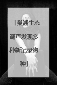 巢湖生态调查发现多种新记录物种