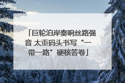 巨轮泊岸奏响丝路强音 太重码头书写“一带一路”硬核答卷
