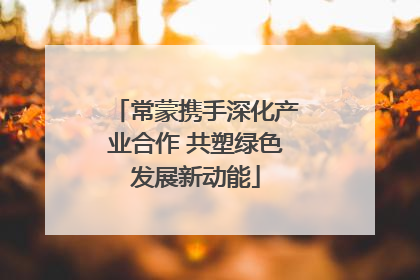 常蒙携手深化产业合作 共塑绿色发展新动能