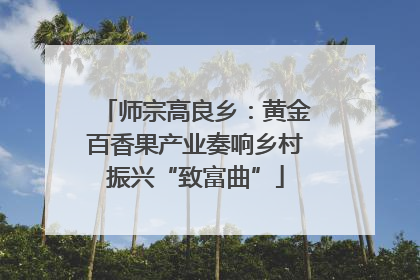 师宗高良乡：黄金百香果产业奏响乡村振兴“致富曲”