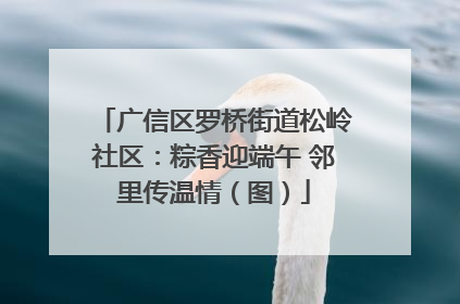 广信区罗桥街道松岭社区：粽香迎端午 邻里传温情（图）