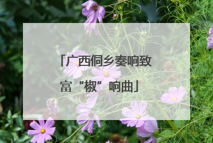 广西侗乡奏响致富“椒”响曲