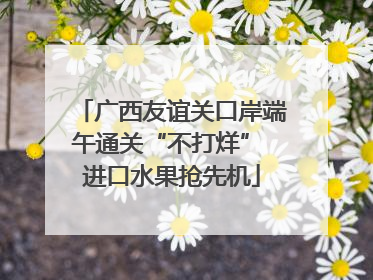 广西友谊关口岸端午通关“不打烊” 进口水果抢先机