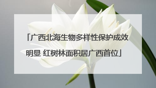 广西北海生物多样性保护成效明显 红树林面积居广西首位