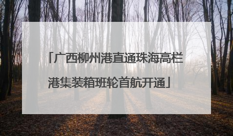 广西柳州港直通珠海高栏港集装箱班轮首航开通