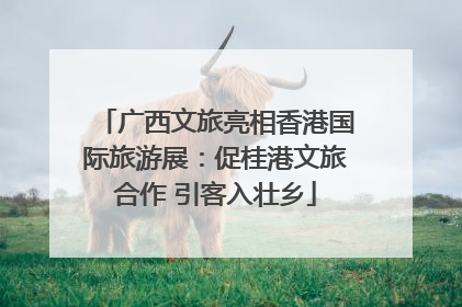 广西文旅亮相香港国际旅游展：促桂港文旅合作 引客入壮乡