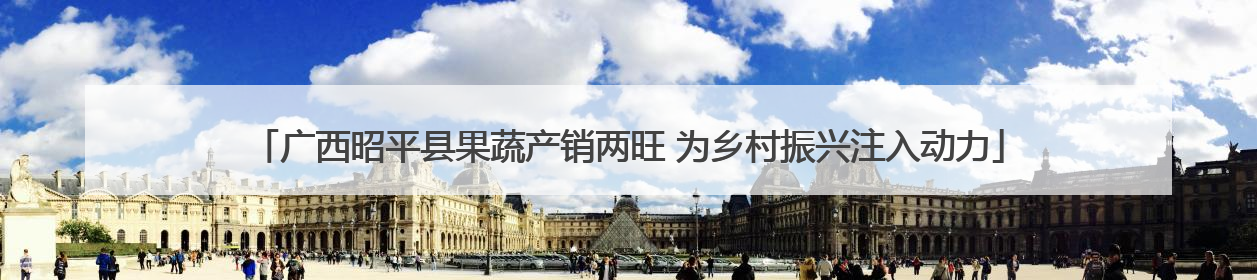 广西昭平县果蔬产销两旺 为乡村振兴注入动力