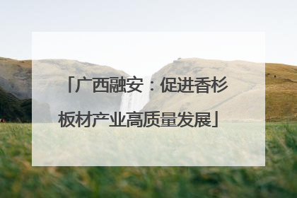 广西融安：促进香杉板材产业高质量发展