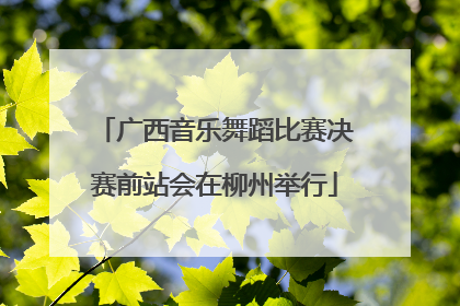 广西音乐舞蹈比赛决赛前站会在柳州举行