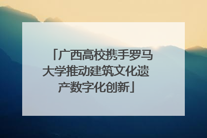广西高校携手罗马大学推动建筑文化遗产数字化创新