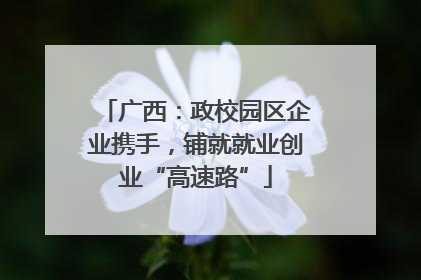 广西：政校园区企业携手，铺就就业创业“高速路”