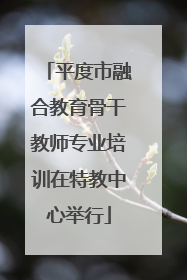平度市融合教育骨干教师专业培训在特教中心举行