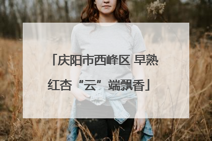 庆阳市西峰区 早熟红杏“云”端飘香