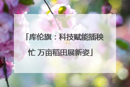 库伦旗：科技赋能插秧忙 万亩稻田展新姿
