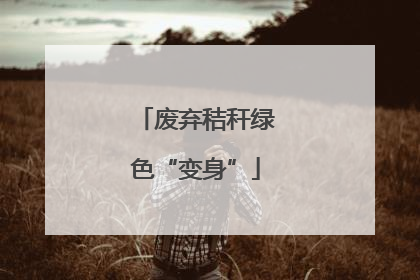 废弃秸秆绿色“变身”
