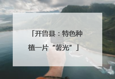 开鲁县：特色种植一片“薯光”